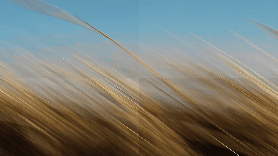 Ultimate Editing Master Collection | 17 Packs + 1 Plugin ALL in ONE